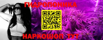 спиды Краснознаменск