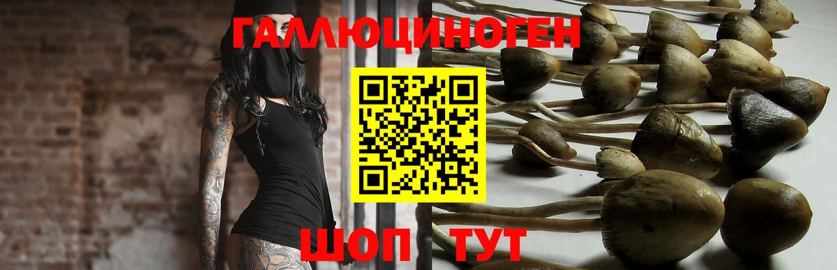 Псилоцибиновые грибы мицелий  Вход с VPN  где купить наркотик  Кириши 